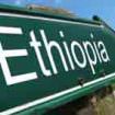 export_etiopia_2013