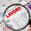 lavoro_expo.jpg