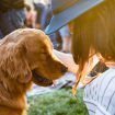 pet-week