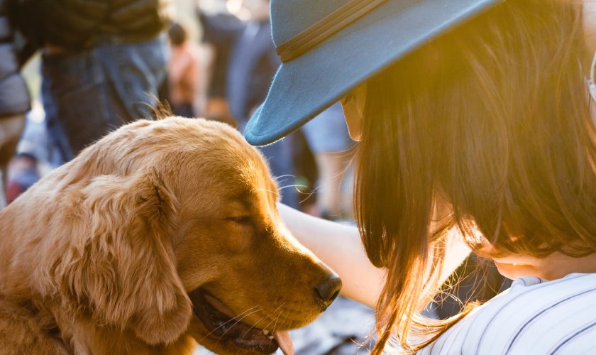 pet-week