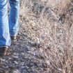 walk-compagni-di-cammino