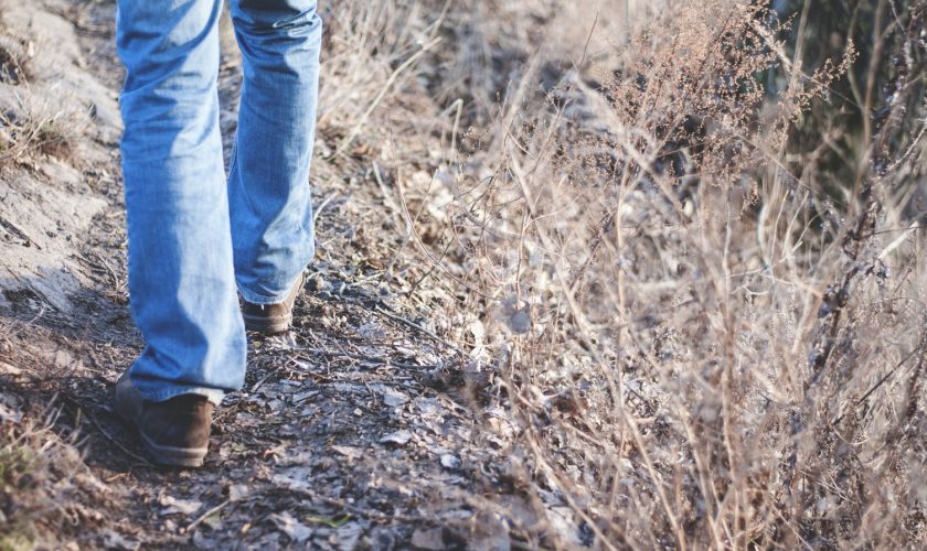 walk-compagni-di-cammino