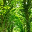 la-tecnologia-fa-bene-ambiente