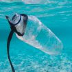 argine-inquinamento-plastica