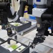 smart-robot-soluzioni-made-in-italy