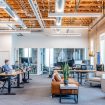 websolute-digital-company