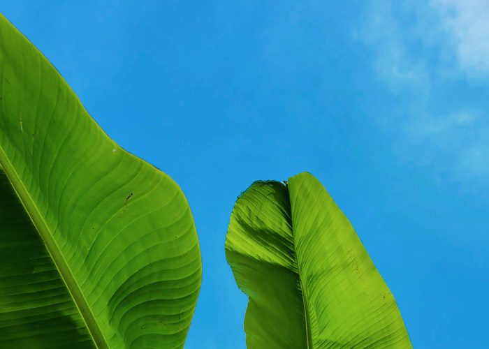 crowdfunding-energetico