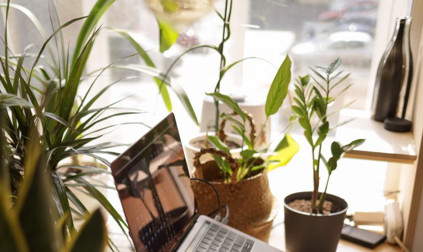 smart-working-risorsa-lavorare-più-sereni-accresce-produttività