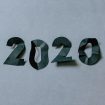 2020